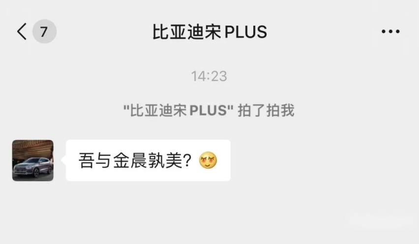 “比亚迪宋PLUS”拍了拍我并问到：吾与金晨孰美？