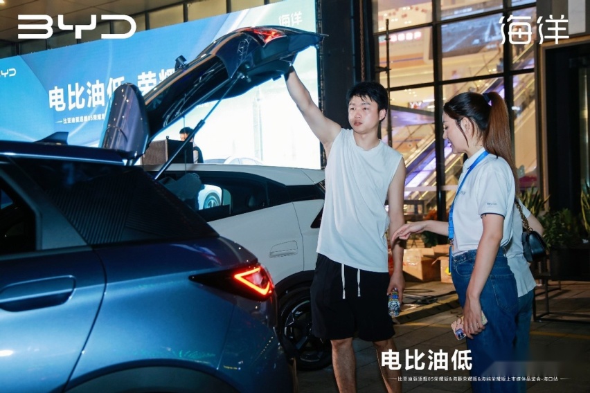 最高降价2.2万元，2024款驱逐舰05/海豚/海鸥登陆海南
