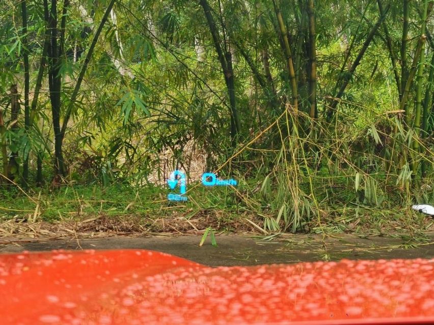 如何能让一台SUV不无聊？驾驶哈弗二代大狗穿越雨林