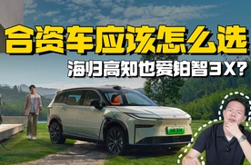 海归高知开铂智3X做地陪？老外被惊呆了