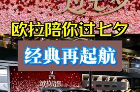 欧拉陪你过七夕，经典再起航，陪伴不止步