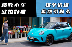 精致小车欧拉好猫 这个价格能吸引你么？