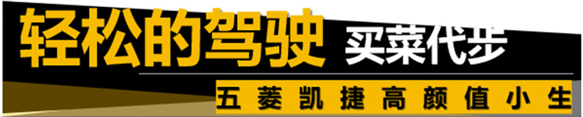 【帮你选车】5座、6座、7座不稀奇，“大四座”见过没？