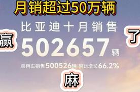 比亚迪又赢麻了 10月销量突破50万辆 同样凶猛还有奇瑞