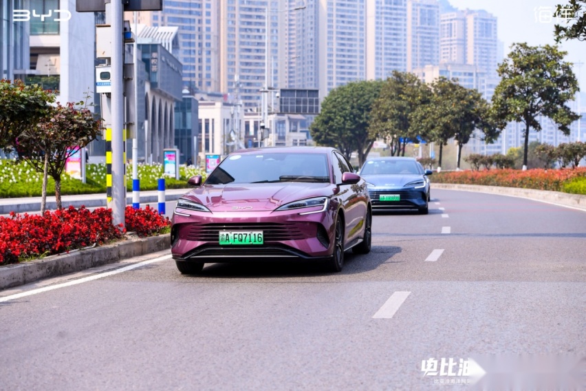 “电比油低”再出击，比亚迪海洋网用5款车型抢占了不同的细分市场