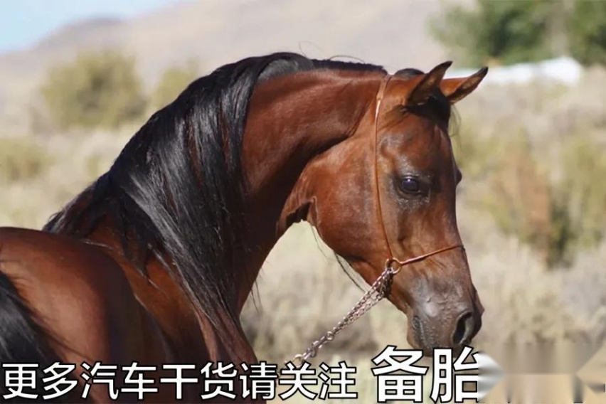 经常出远门，有必要装车顶行李箱吗