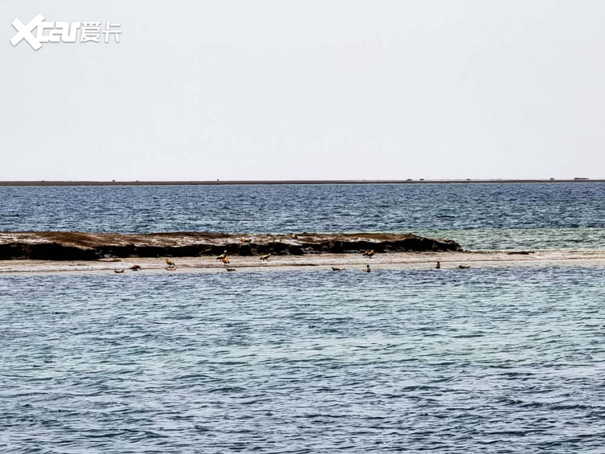 全新标致4008环青海长测Day6：我们竟走在“真”丝绸之路上！