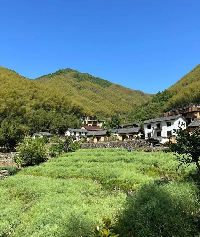 前往海拔最高的先锋书店，看云卷云舒，何尝不是一种生活？