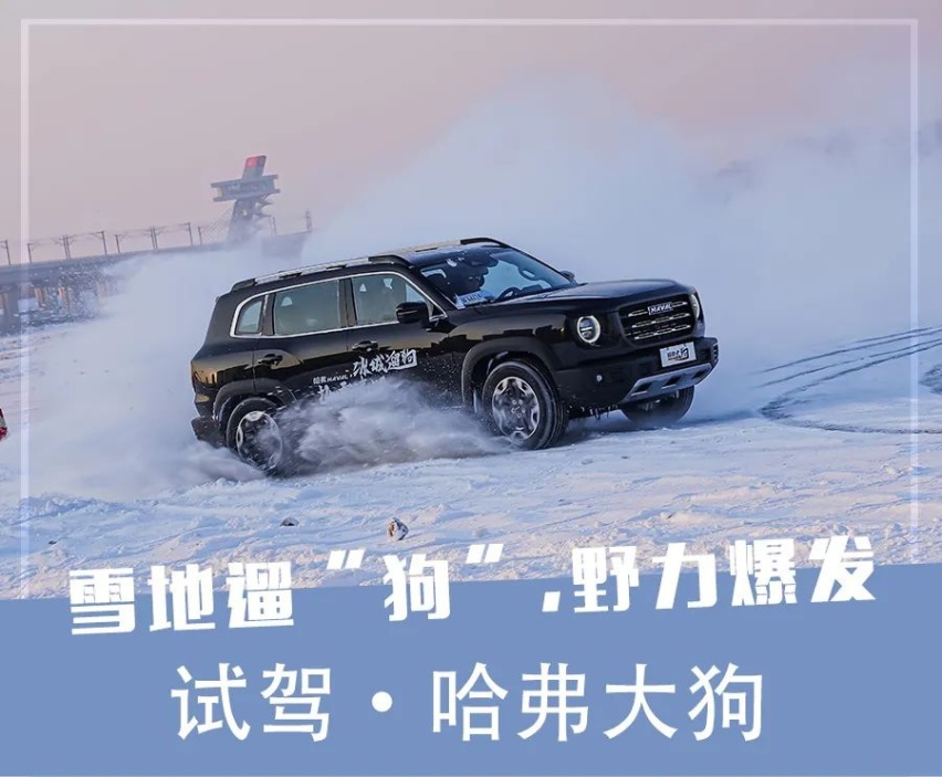 野力爆发，我居然在零下30度的哈尔滨“遛狗”！