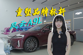 20万就能比肩“56E”？静态体验风云A9L