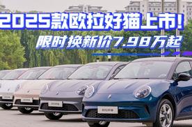 2025款欧拉好猫上市！限时换新价7.98万起
