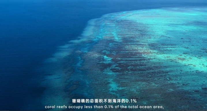 海南岛究竟有多神奇？这部科普纪录片披露了这些关键信息！