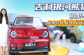 月销超1万台以上 5万级纯电微型车 吉利熊猫比宏光MINI EV更值？