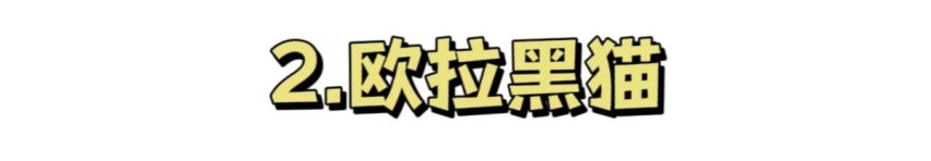 讲真,长城汽车成为国民品牌,离不开这三款车