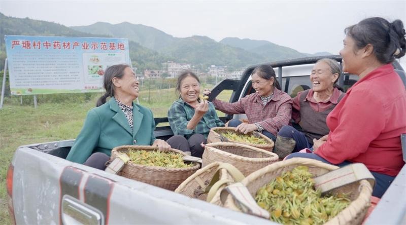 为黯淡无光注入希望！“点亮计划”在岁月流转中焕发乡村新生