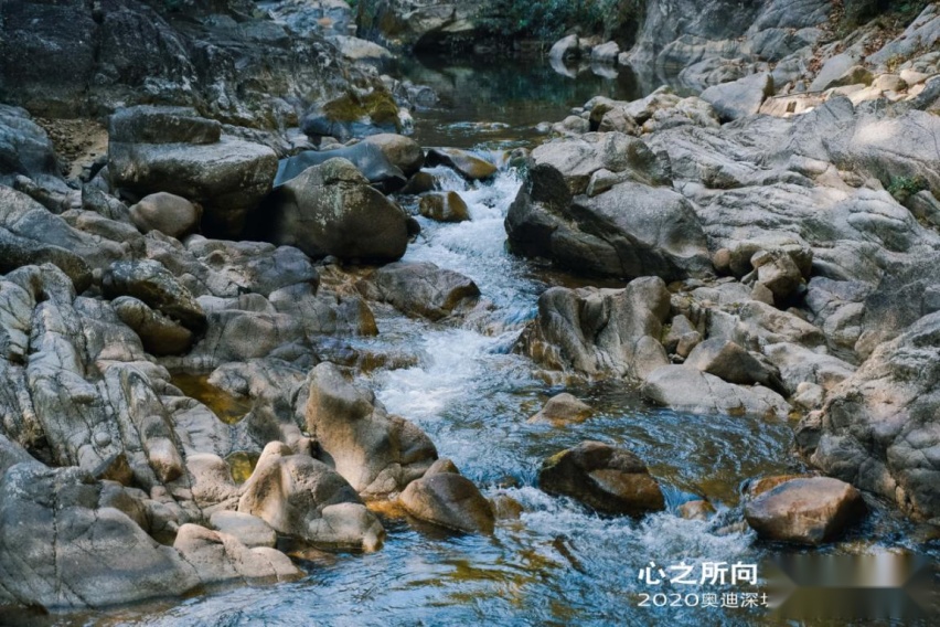 “心之所向，媒好同行”——2020奥迪深圳区域媒体答谢会