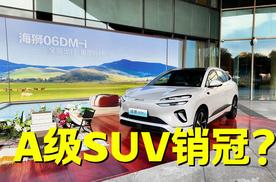 13.98万起的海狮06，何以上市首周拿下销冠？