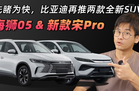 继续下饺子，比亚迪再推两款全新SUV，海狮05&新款宋Pro先睹为快