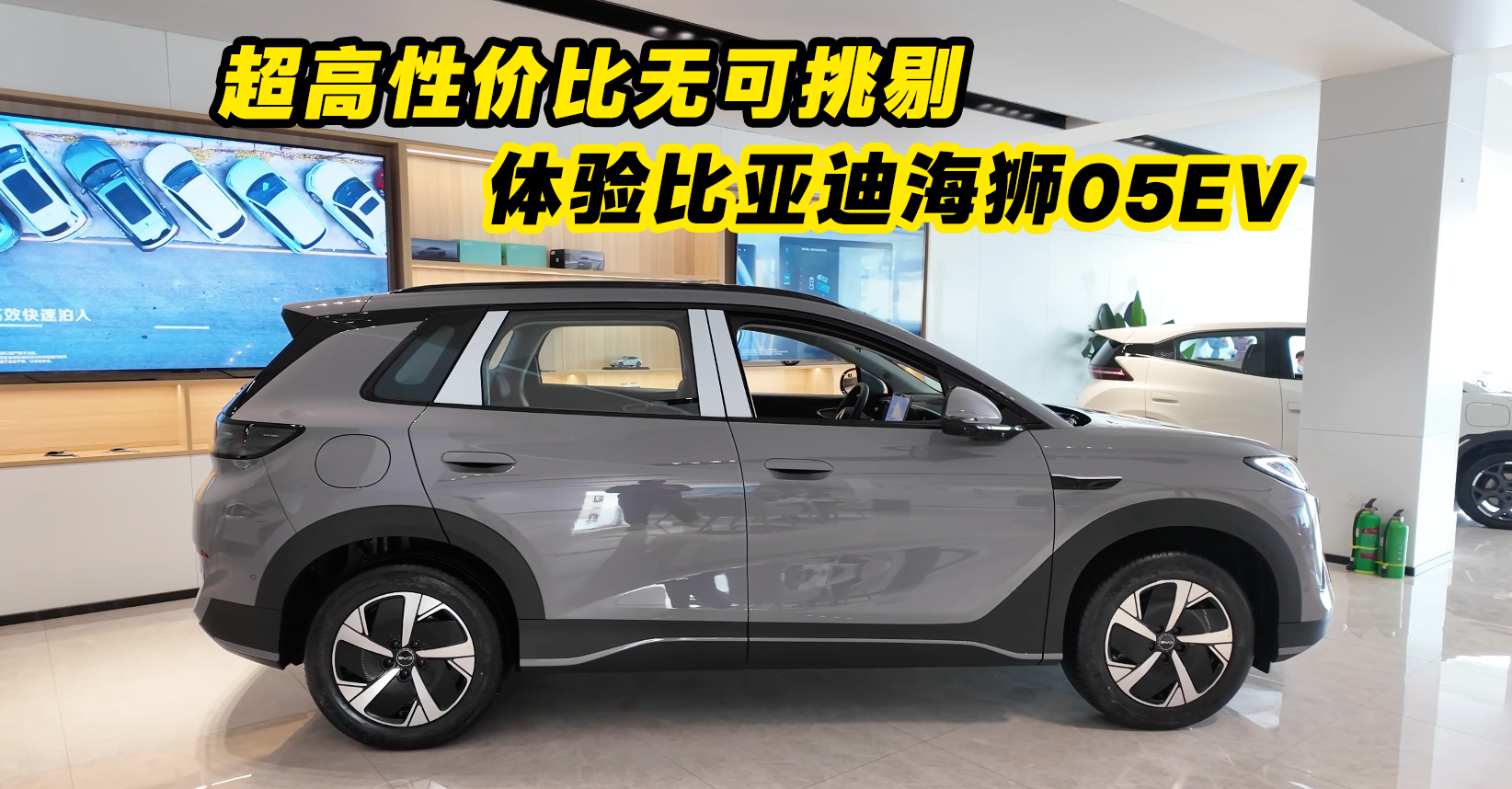 �����Լ۱��޿����� ������ǵϺ�ʨ05EV