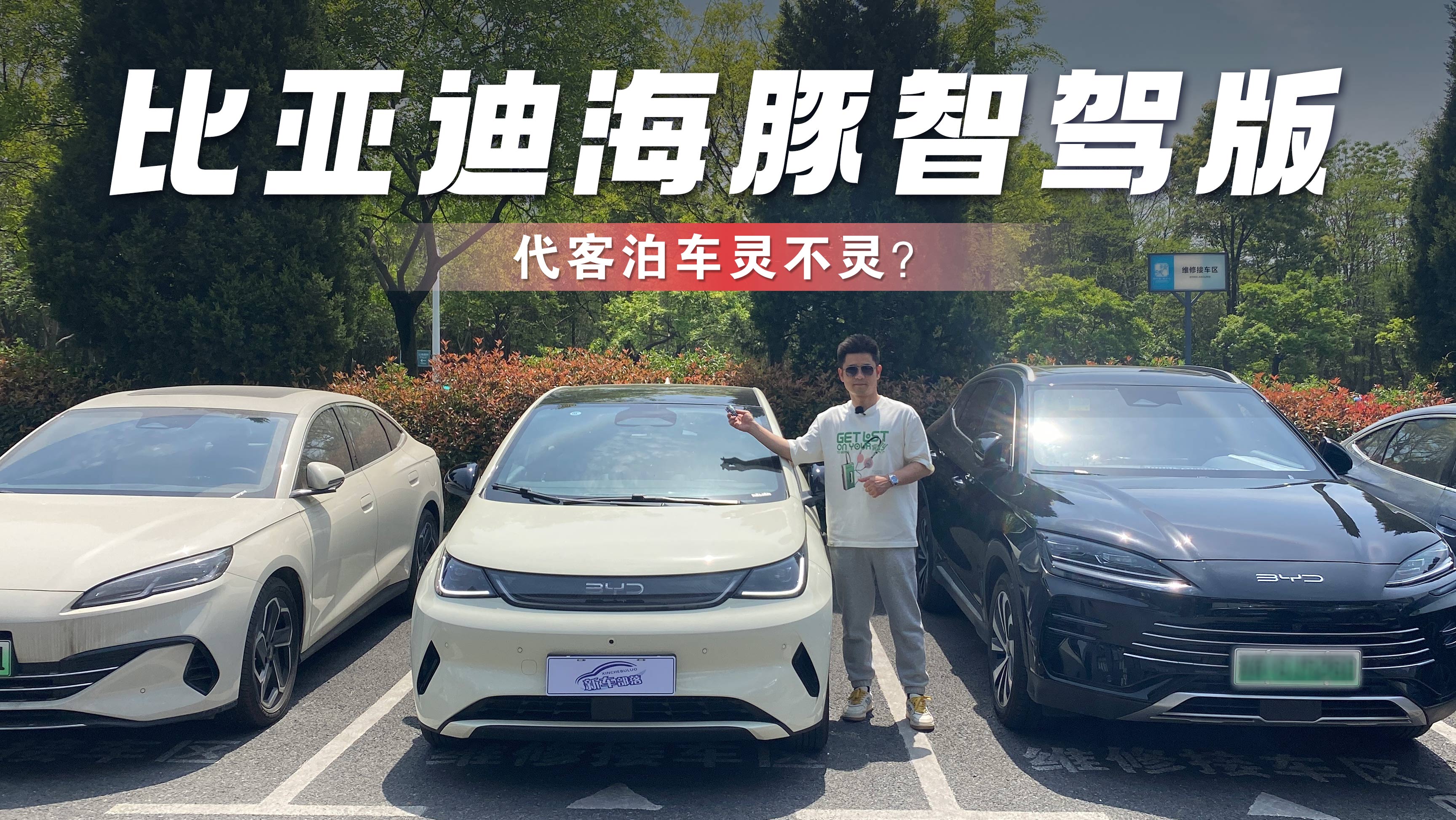 问：比亚迪海豚智驾版代客泊车灵不灵？