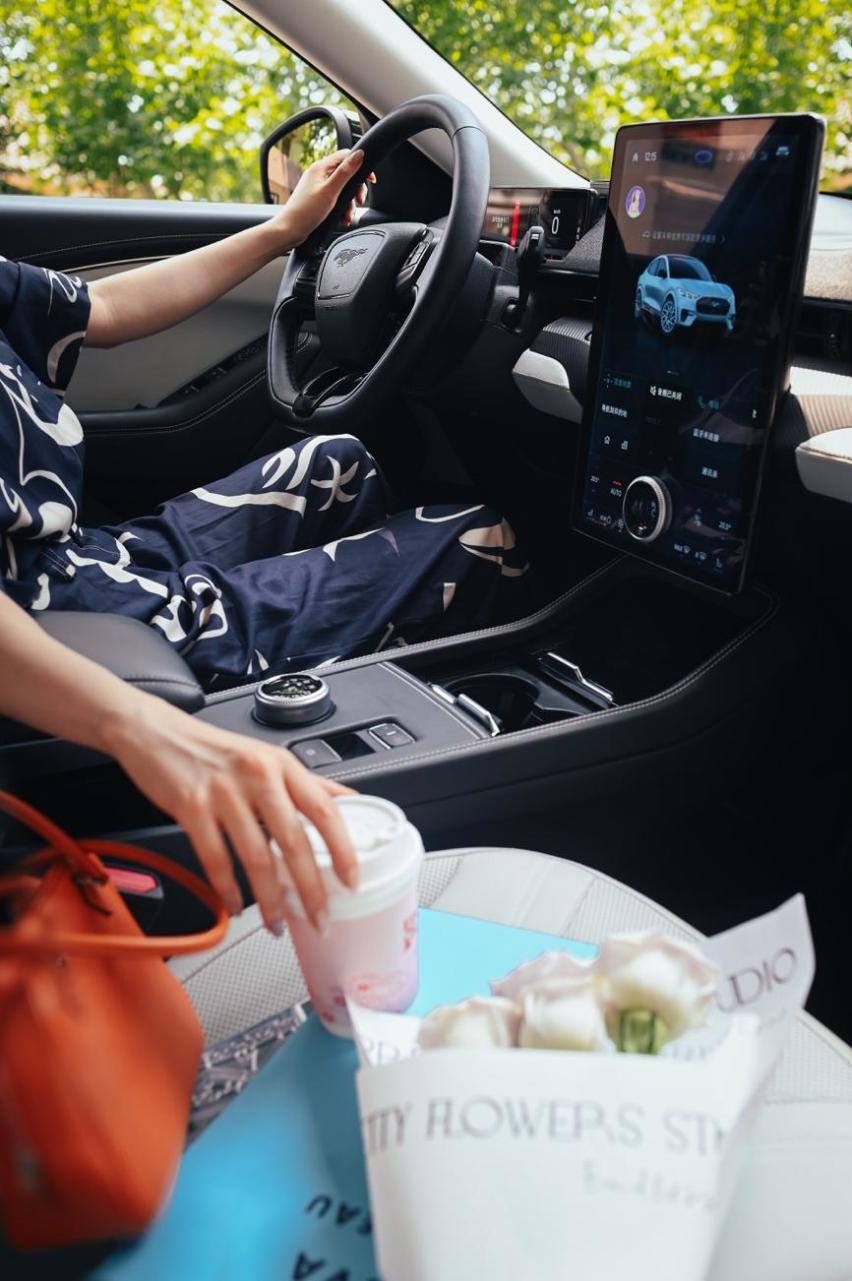 传奇电跑SUV  福特电马宣布焕新产品定位