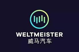 威马汽车｜沈晖的自我救赎