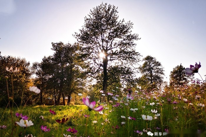 天山千里深度试驾瑞虎8，竟然发现了奇瑞的秘密？