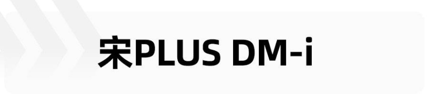 过年回家，推5款15万级大空间新能源，宋PLUS DM-i领衔