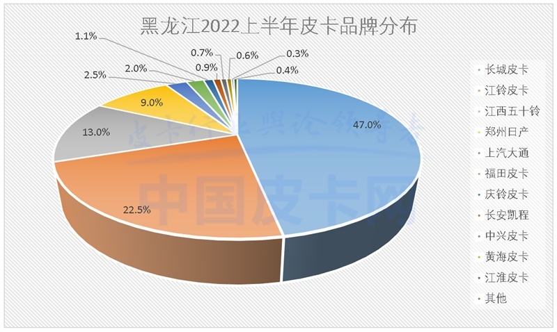 详解2022上半年全国31省皮卡终端销量（上）