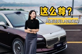 实车这么尊？岚图追光L内饰解密