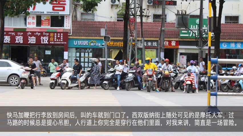 吉利幸福花田测和初恋的夏天—彩云之南西双版纳