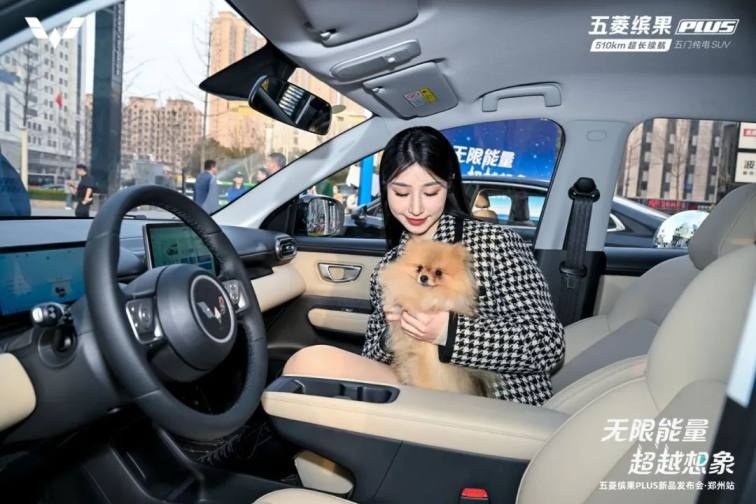 续航510，空间更大，售价8.98万元起，五菱缤果PLUS郑州上市