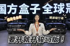 05后揭秘车界双子星：捷途旅行者骏马版征服世界，捷途自由者骏马版取悦自