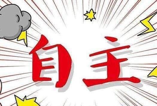 预算不到10万买这几款国产车，面子里子都有了