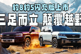云辇-P Ultra炸场，豹8豹5闪充版上市，给老炮们立规矩