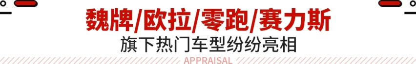 要赚外国人的钱！比亚迪/哈弗等亮相巴黎 售价贵了10万？
