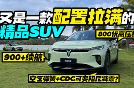 又是一台配置堆满的精品SUV！岚图知音