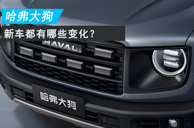 2026款哈弗大狗上市 新车都有哪些变化？