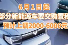 6月1日起，部分新能源车要交购置税，预计上调2000-6000元?