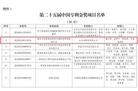 2项金奖！比亚迪再获国家级专利殊荣
