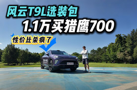 用户喊话奇瑞真听劝！两驱版新增猎鹰700，T9L能卷赢同级吗？