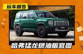 直瀑中网+方形大灯，哈弗猛龙燃油版官图发布，哈弗H6/大狗同款动力