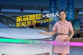 轻松拿捏多孩家庭出行，东风奕派eπ008