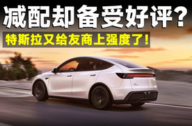 廉价版Model Y明明减配，怎么全网都在夸？