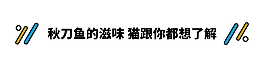 情人节到了！这几款中国车最适合约会 最低只要7.89万起！