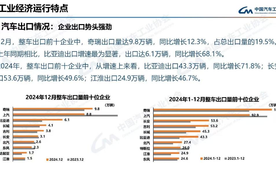 比亚迪 2024 年汽车出口与新能源夺冠：持续高速领跑全球车市