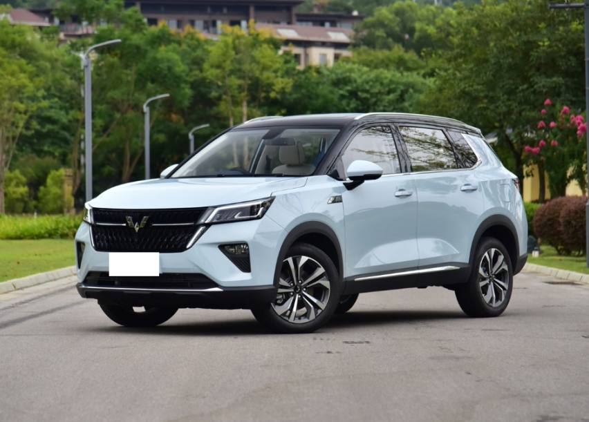 五菱混动来了，搭载2.0L发动机，百公里油耗4.6L，满油跑1100k