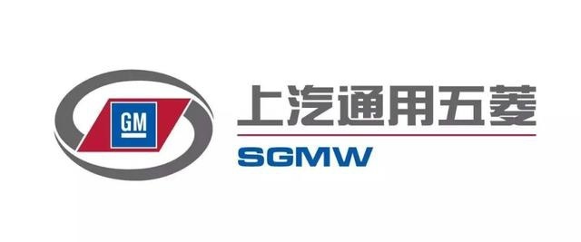 “人民需要什么，五菱就造什么”背后的故事| 2020懂车观察