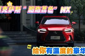 “胭脂荔色”雷克萨斯NX，给你有温度的豪华
