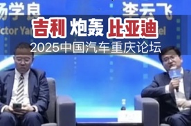 继魏建军后，吉利点名比亚迪，说到底还是因为价格战？